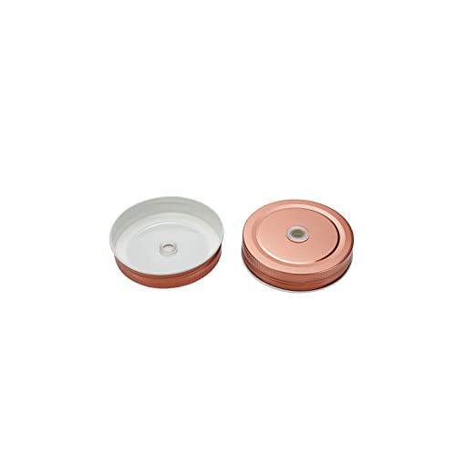 Utalind 10 Pcs Tinplate Regular Mouth Canning Lids With Straw Hole #TOP3