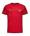 Produktbild hummel Dänemark Trikot Home WM 2022 Kinder rot/weiß, 164