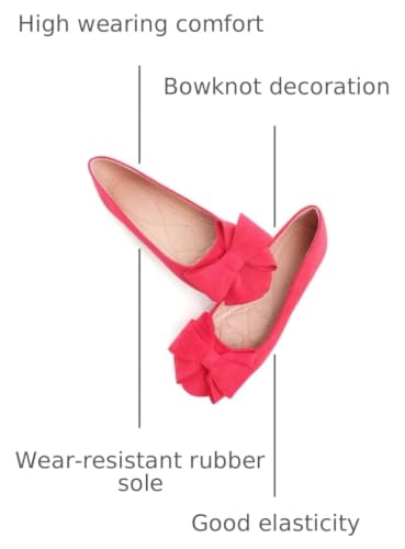 Image of TN TANGNEST Women Fashion Bowknot Flats Comfort Pointed Toe Dress Shoes