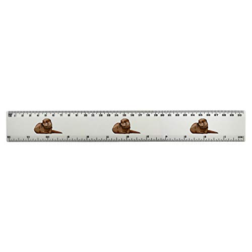 'Sitting Otter' 30cm (12 Inch) White Plastic Ruler (RL00048875)