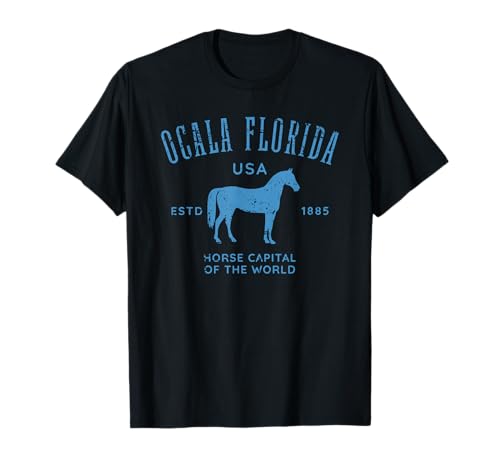How far is ocala from clearwater