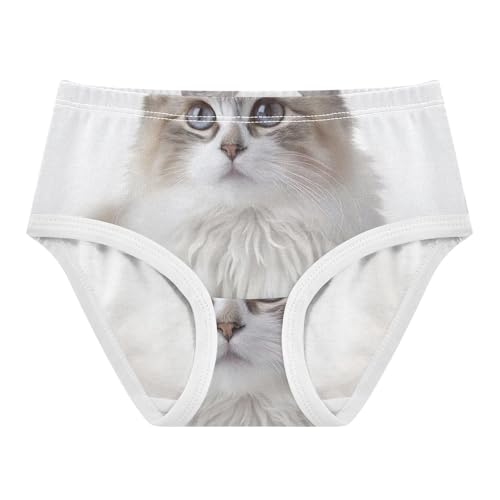 Girls Briefs, Pet Print Cat White Toddler Girl Briefs, Girls Cotton Underwear, 2T–8 Years