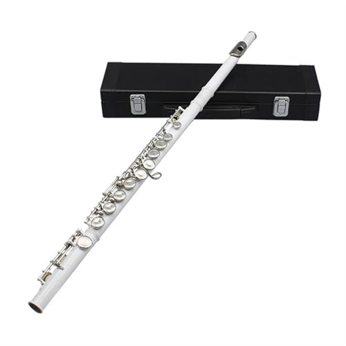 t[gy 16N[Y/I[vt[g CL[t[g RT[g ^t[g y EL[ANZT[t