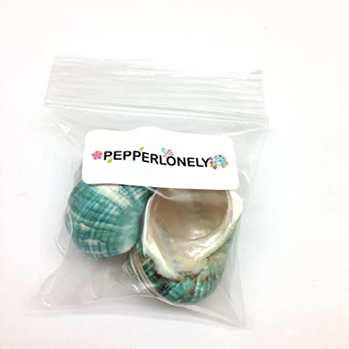 Image of PEPPERLONELY 2 PC Natural Middle Hermit Crab Shells, Banded Green Blue Gade Turbo, 2 Inch ~ 2-1 /2 Inch
