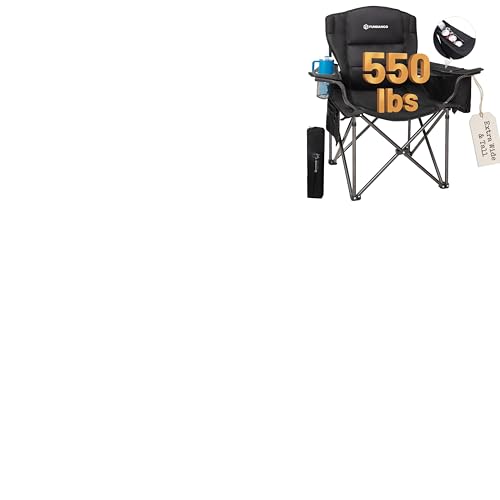 FUNDANGO Adjustable Lumbar Chair