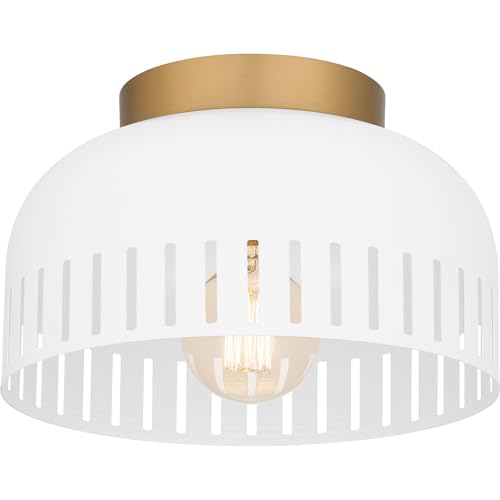 Quoizel Keagan 1-Light Matte White Flush Mount Light