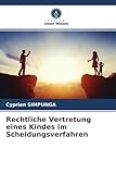 Rechtliche Vertretung eines Kindes im Scheidungsverfahren