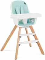 Amazon.com : Evolur Zoodle 2 in 1 Convertible Baby High