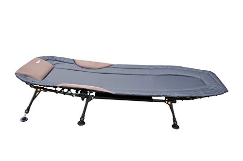 Economic 6-Bein Bedchair Angelliege Grau