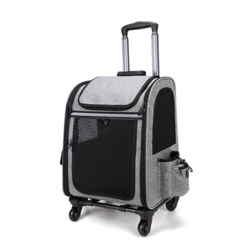 Livmorx ybgL[ bN LX^[t ybg L  L[obO L[ J[g bV ʋC g\ ܂ O\ o hCu s (B)