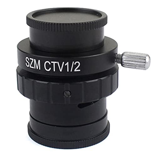 {pANZT[ OXeIp0.3×0.5×C̃}EgYA_v^(TV12)