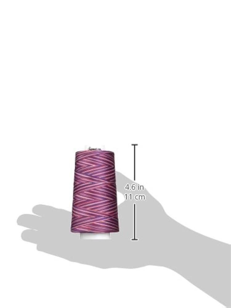 Amazon.com: Signature Thread, 40wt/3000 yd, Variegated Stars