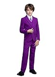 Yanlu 5 Piece Boy's Formal Suits Jacket+Vest+Pants+Shirt+Tie Kids Tuxedos Size 2T Fuchsia