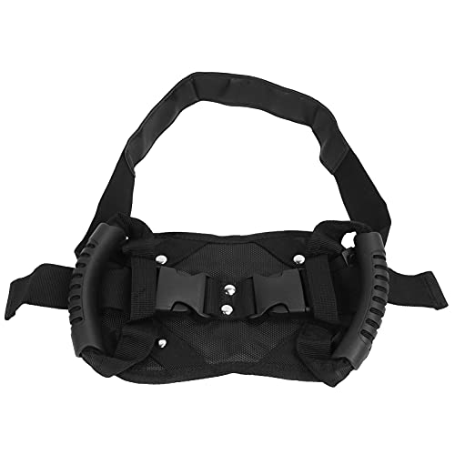 Wakects Cinturón de Seguridad para Motocicleta, Correa de Pasajero de Tela Oxford, Asa de Agarre con Ajuste Ajustable de 125 Cm, Soporte de Tablero de PP y Malla 3D, para Scooter, Motocicleta,