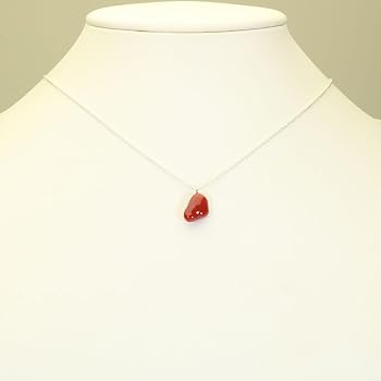 Amazon | Sansui 血赤珊瑚 ペンダントネックレス シルバー 無