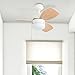Honeywell Ceiling Fans Ocean Breeze Modern 30 Inch Ceiling Fan with Light, Pull Chain LED Indoor Fan with 3 Blades, White and Brown Maple Blade Finish Options, White (50600-01)