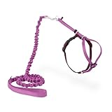 PetSafe Come With Me Kitty Cat Harness & Bungee Leash - Comfortable Cat Harness with Lightweight Bungee Leash for Outdoor Fun - More Secure Walks - Medium - Dusty Rose