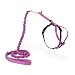 PetSafe Come With Me Kitty Harness and Bungee Leash, Harness for Cats, Medium, Dusty Rose/Burgundy