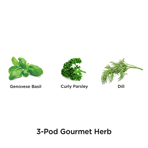Image of AeroGarden Gourmet Herb Seed Pod Kit, 3-Pod | Herb Seed Pod Kit for AeroGarden Hydroponic Indoor Gardens