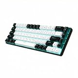 LeeQinersw Tastiera Meccanica Cablata 68 Tasti Compatta Tastiera Gaming Tastiera Hot‑swappable Tastiera Retroilluminata Keycaps Antiusura a Doppia Colata Cavo, style to 1