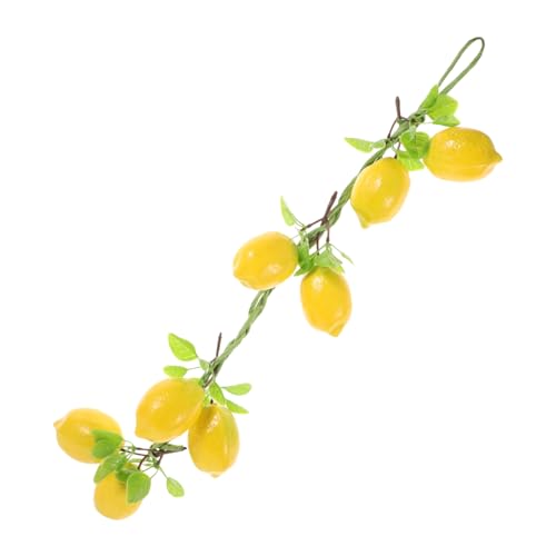 MUCKLILY �v�����̐l�H�̉ʕ� �������̏��蕨 �ό`�ɋ����� �t�F�C�N�������t�t�� �C���e���A��ʐ^�B�e�p�̑���