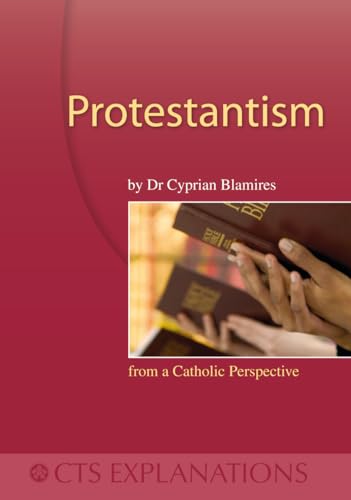 Protestantism: From a Catholic Perspective (Explanations) view 2