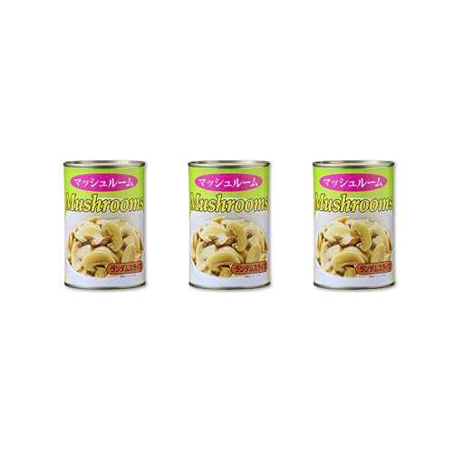 Vandro }bV[(_XCX) 4 ×3  (VandroSt)