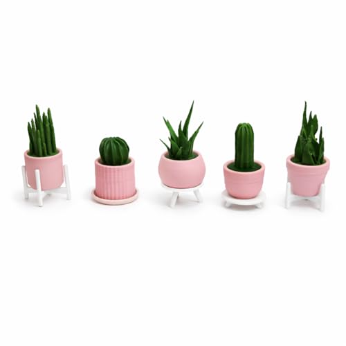 Image of 3D Plant Fridge Magnets - 5-Piece Cute Succulent Cactus Magnet Set for Refrigerator, Notes & Photos - Decorative Kitchen Accessories, Gift for Plant Lovers (Matte Pink + White Plant)