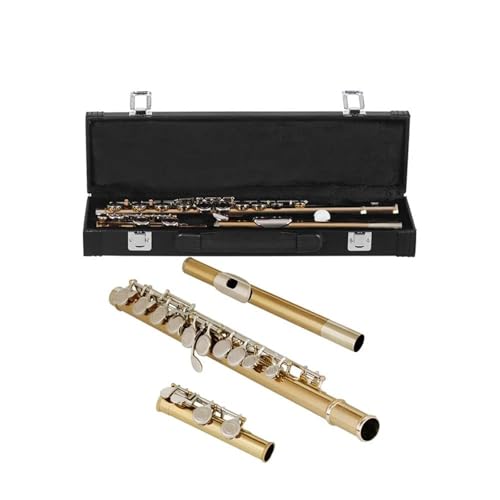 DABAUR Instrument de flûte traversière Flûte De Concert À Clé C À 16 Trous Instrument De Musique Flûte Métallique Professionnelle avec Boîte Gants en Tissu Accessoires