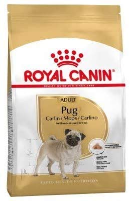 Canin Royal Pug Trockenfutter für Erwachsene, 3 kg, Rassen-spezifisches Trockenfutter, 10 Monate, leicht zu kauen, enthält Fisch und Borretschöl, unterstützt die natürliche Barriere der Haut, mit