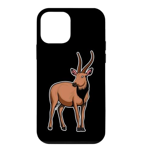 �A�t���J�ƊC�̓��� - �E�H�[�^�[�o�b�N �X�}�z�P�[�X iPhone 12 mini �p