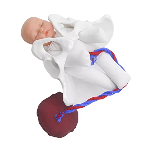 ChuYiElegance Ճf ٔՕtԂ񃂃f wpWp