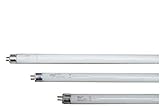 Producto de alta calidad eDM Tubo Fluorescente T5 4W (Luz Actínica) Mata Insectos, 13,5 x 1.6 mm, Multicolor, 1 Unidad (Paquete de 1)