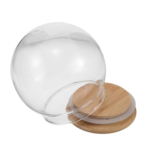 BIUDECO Cúpula de Campana de Cristal Transparente
