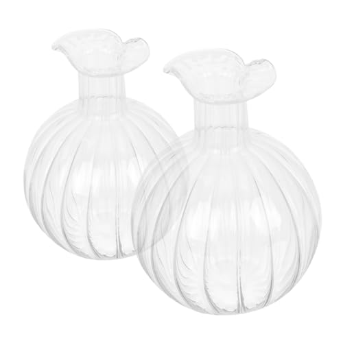 MUCKLILY 2pezzi Vaso Porta Fiori in Vetro Trasparente Vaso a Forma Di Frutto Per Gemme Per Fiori Secchi Elegante Portafiori Unico