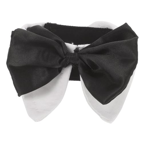 HOMOBABE ybg̒lN^CANZT[   {E^CJ[ L̎