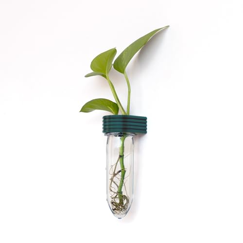 Roota Planters Propagation Station Wall Hanging Terrarium Upcycled 3D Printed