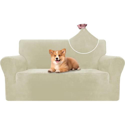 CYCMACO Samt Sofa Überzug 2 Sitzer, Sofabezug Elastische, Couch Überzug Haustier Katze Hunde, Universal Sofa Cover Moderne, Sofahusse Mit Armlehnen, Sofaschoner rutschfest, Beige CYCMACO Samt Sofa Überzug 2 Sitzer, Sofabezug Elastische, Couch Überzug Haustier Katze Hunde, Universal Sofa Cover Moderne, Sofahusse Mit Armlehnen, Sofaschoner rutschfest, Beige