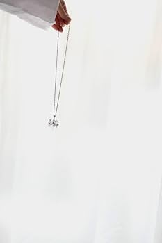 GazettE×GemCEREYトルソーネックレス2010年 GazettE×GemCEREYトルソーネックレス2010年