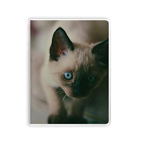 Carnet de notes chaton œil bleu, idée cadeau papeterie originale