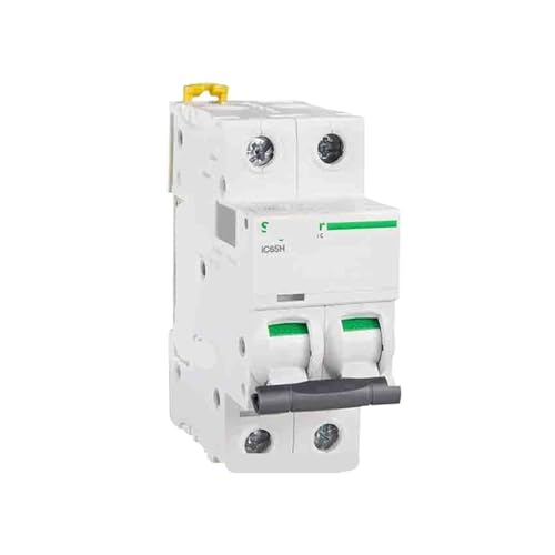 Interruptor magnetotermico iC65 curva D40A bipolar proteccion contra cortocircuitos 2