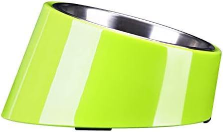 SUPER DESIGN Mess Free 15 Degree Slanted Bowl for Dogs and Cats 0.5 Cup Green