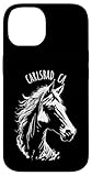 Photo Gallery carlsbad california usa - cavallo equestre custodia per iphone 14 Photo Gallery carlsbad california usa - cavallo equestre custodia per iphone 14