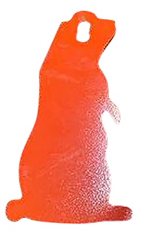 Cible Rimfire en Acier au Stand de Tir Entraînement de Chasse LR22