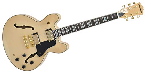 PLAYTECH (プレイテック) セミアコースティックギター SA500 Flame Natural