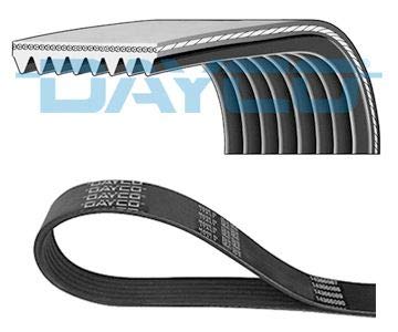 DAYCO 8PK1445HD Cinghia servizi