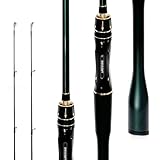SEASIR Dark Dragon Carbon Fiber Fishing Rod, Dual Tips Medium & Medium Light Spinning Rod, Saltwater Freshwater Baitcasting Rod, 2 Piece Baitcaster Rod, Ultralight, Ceramic Ring, Black/Green