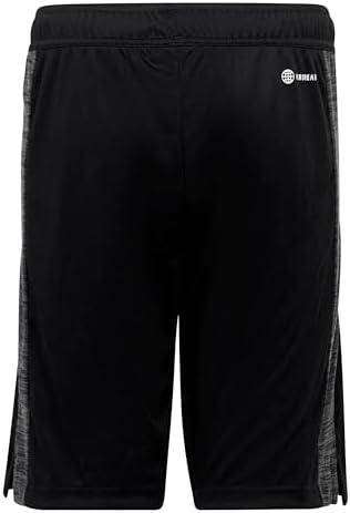 adidas Unisex-Child B Heather SHO 3 31SPvyn1AYL. AC