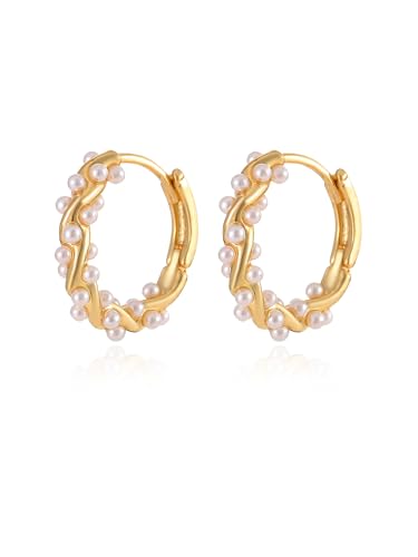 1 Pair Pearl Earrings for Women,Women's Fashion Jewelry, Chic Drop Earrings, Elegant Accessory for Parties4