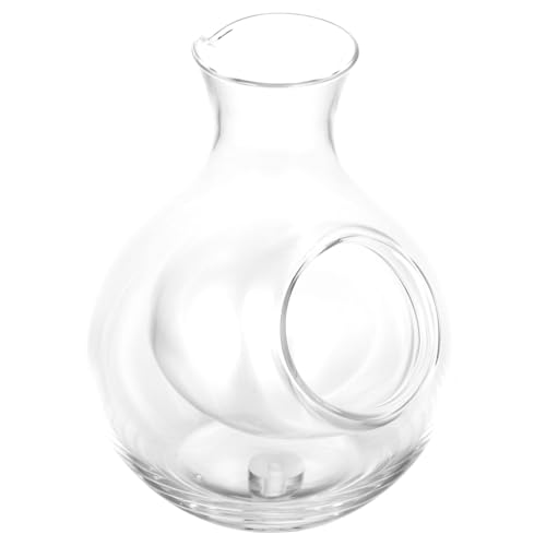 KOCKSHION Bottiglia Di Sakè e Decanter Per Liquori in Vetro 300ml, Distributore Di Vino Ghiacciato Per Degustazione, Design Semplice e Pratico Per Amanti Del Vino